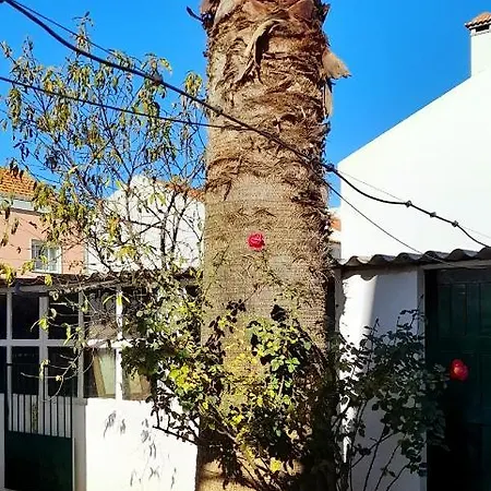 게스트하우스 Casa Da Forja *